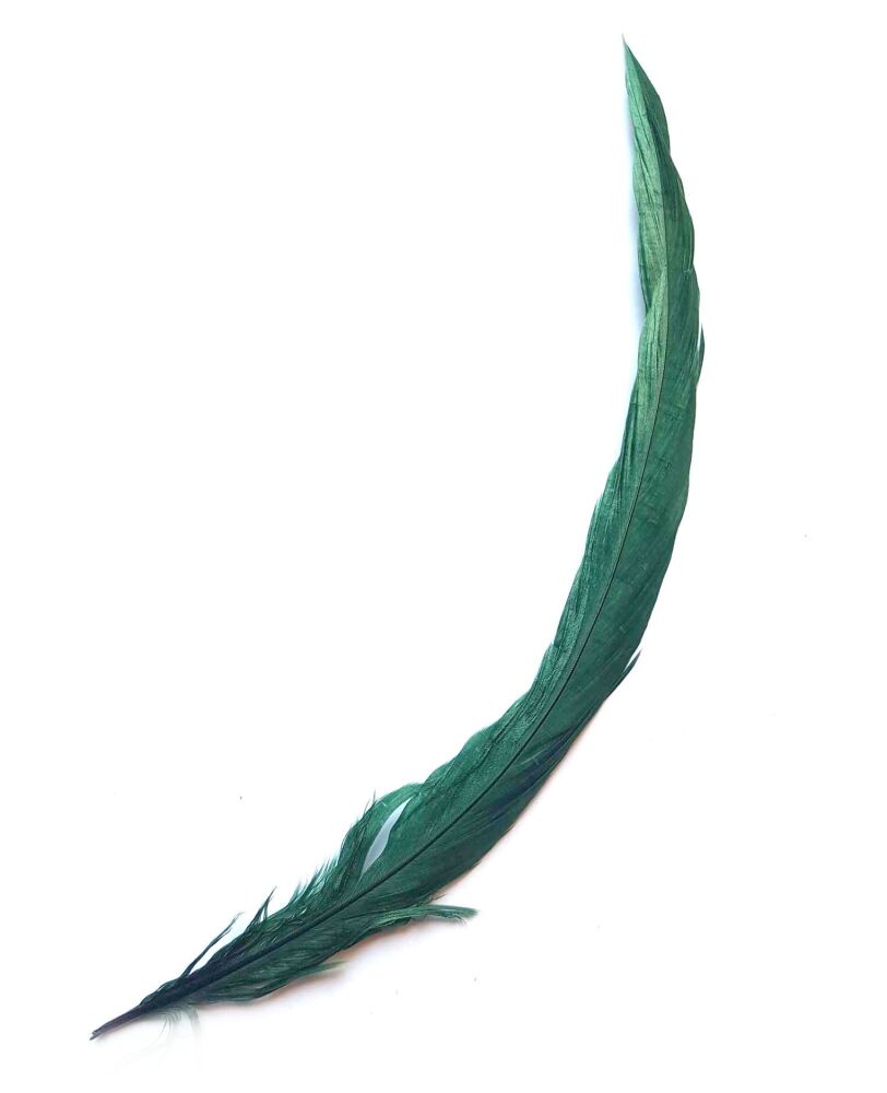 Dark Green Rooster Coque Tail Feather (Seconds)