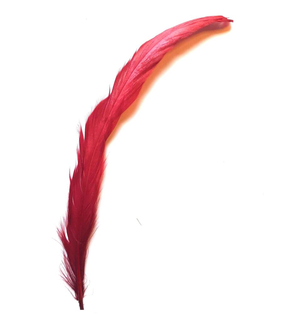 Red Wine Rooster Coque Tail Feather (Seconds)