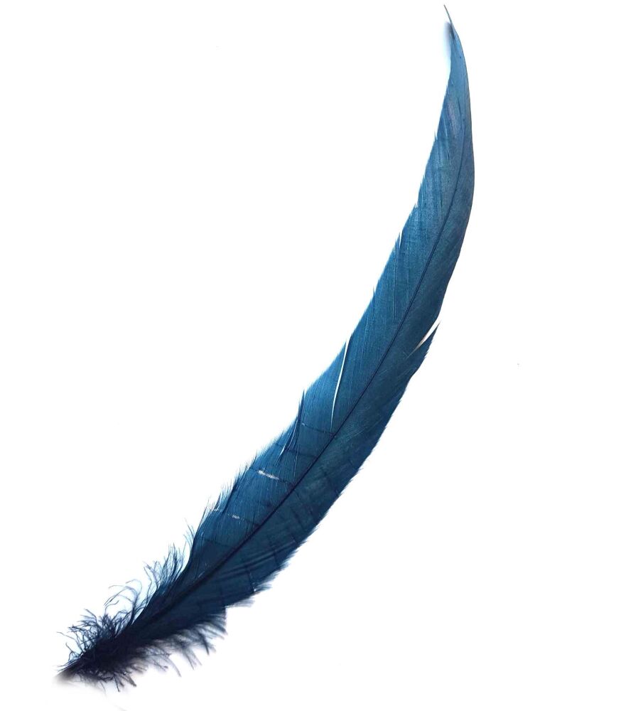 Dark Blue  Rooster Coque Tail Feather (Seconds)