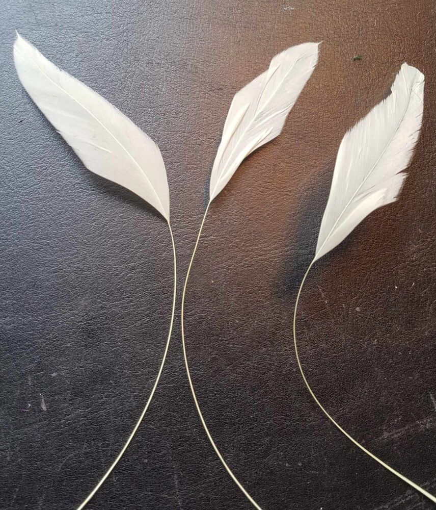 Pale Green Rooster Stripped Feathers x 3