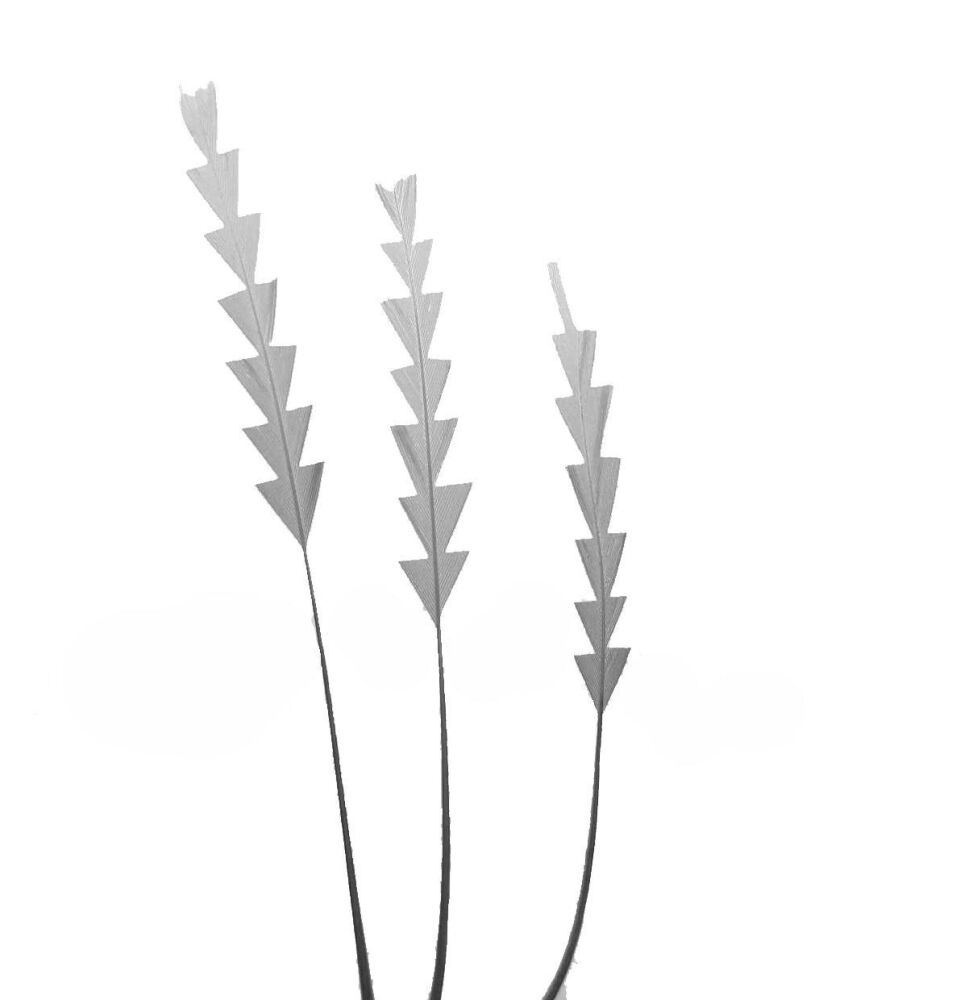 Silver Stripped Zig Zag Trimmed Feathers x 3