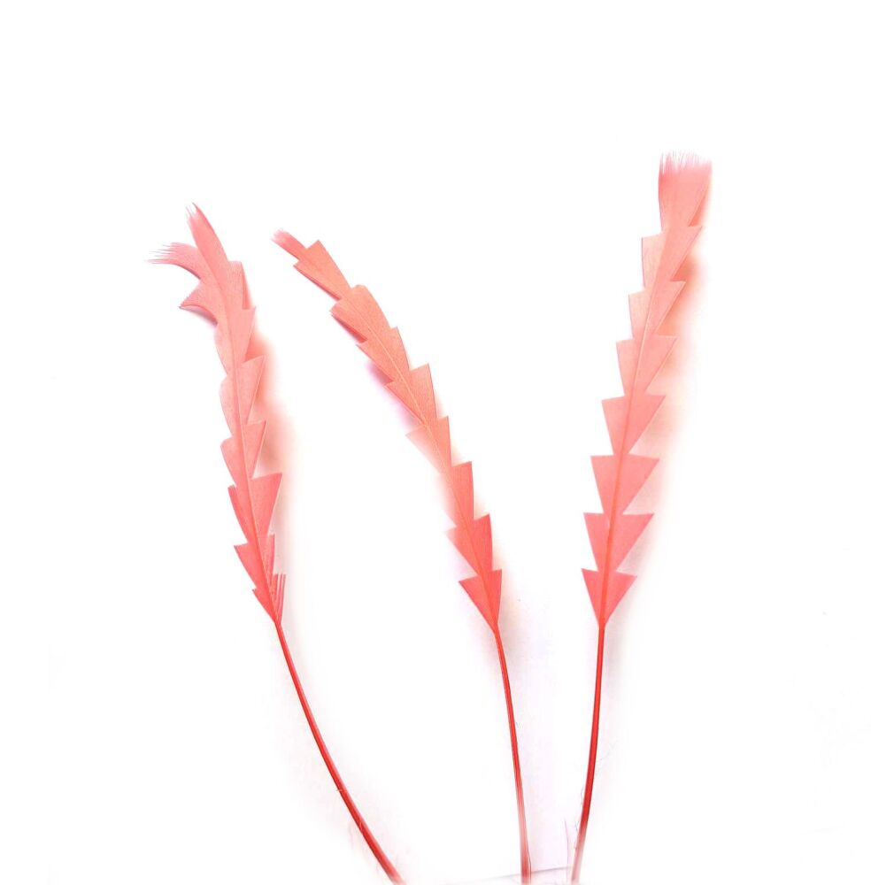 Coral Stripped Zig Zag Trimmed Feathers x 3