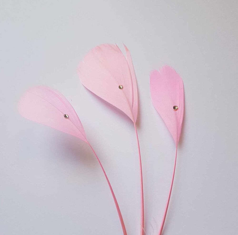 Light Pink Stripped Coque Feathers With Rhinestone Gems