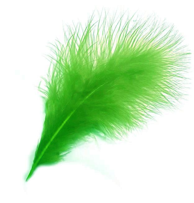 Kiwi Green Marabou Feathers