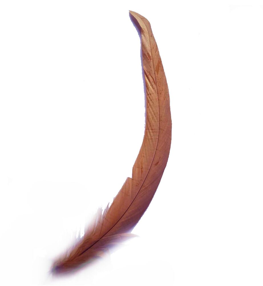 Brown Bronze Rooster Coque Tail Feather (Seconds)
