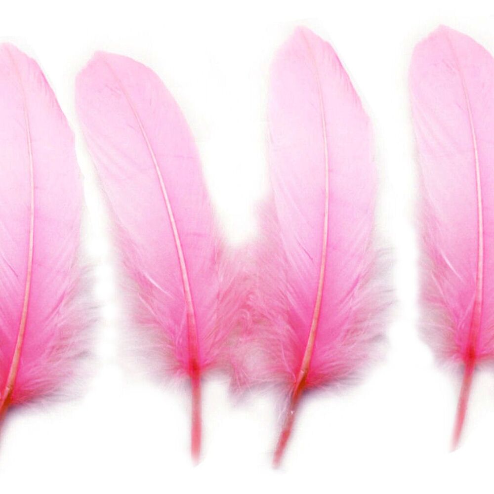Candy Pink Goose Quill Feathers x 4