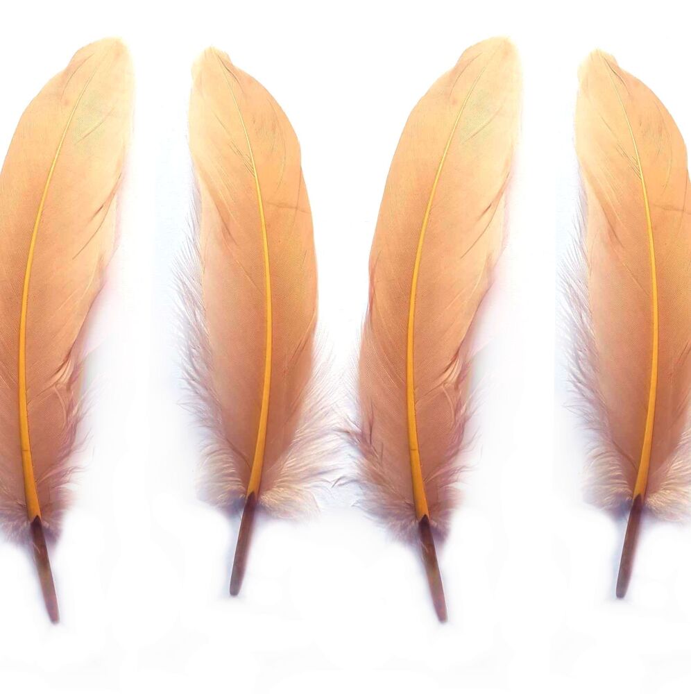 Beige Goose Feathers x 4
