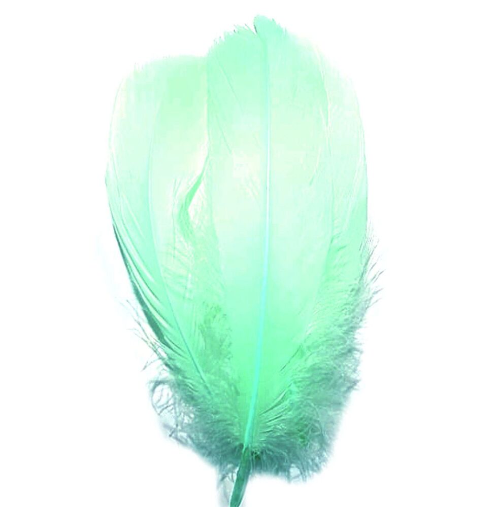 Mint Green Parried Goose Pallette Feathers x 5