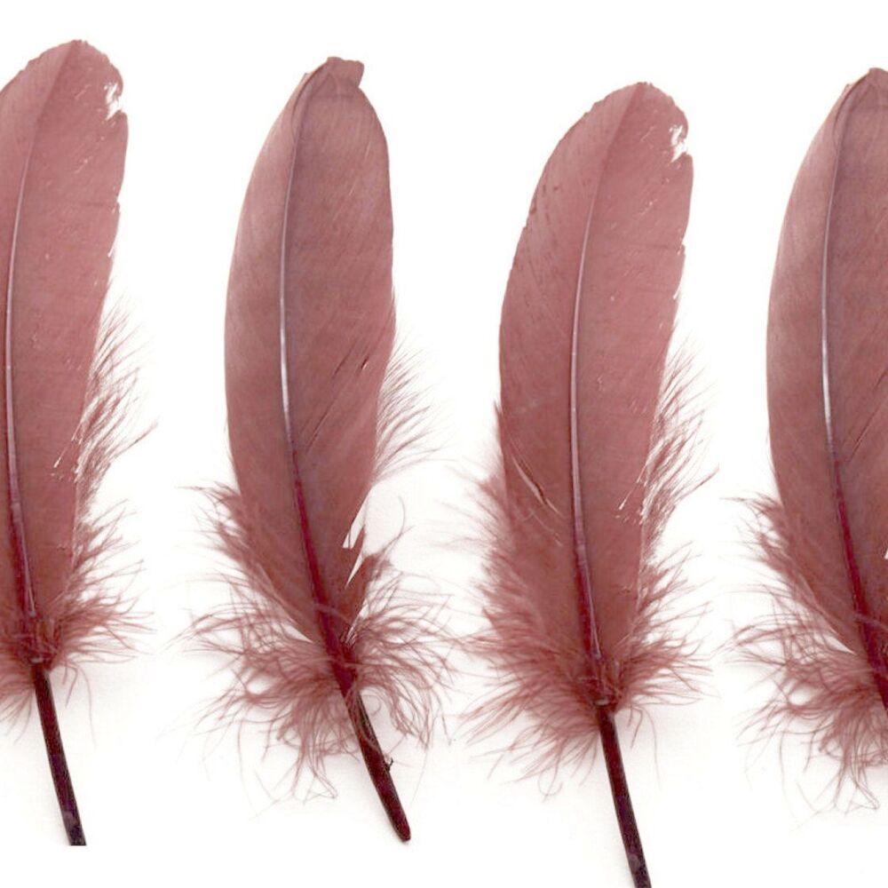 Brown Goose Quill Feathers x 4