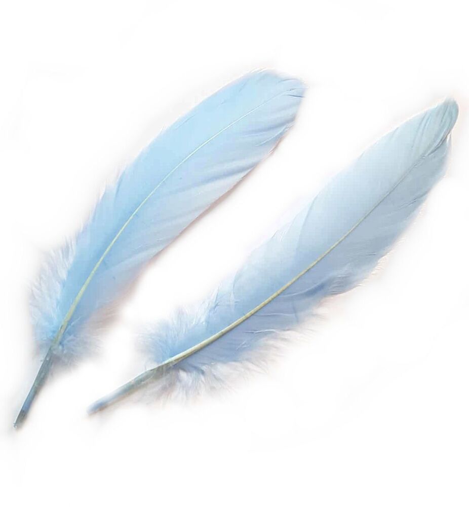 Pale Blue Goose Quill Feathers x 4