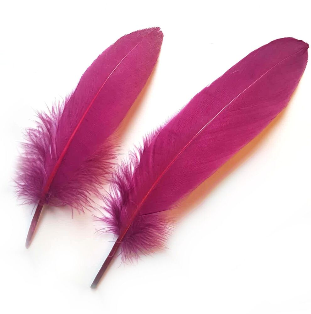 Plum Purple Goose Quill Feathers x 4