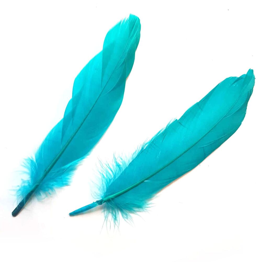 Teal Green Goose Quill Feathers x 4