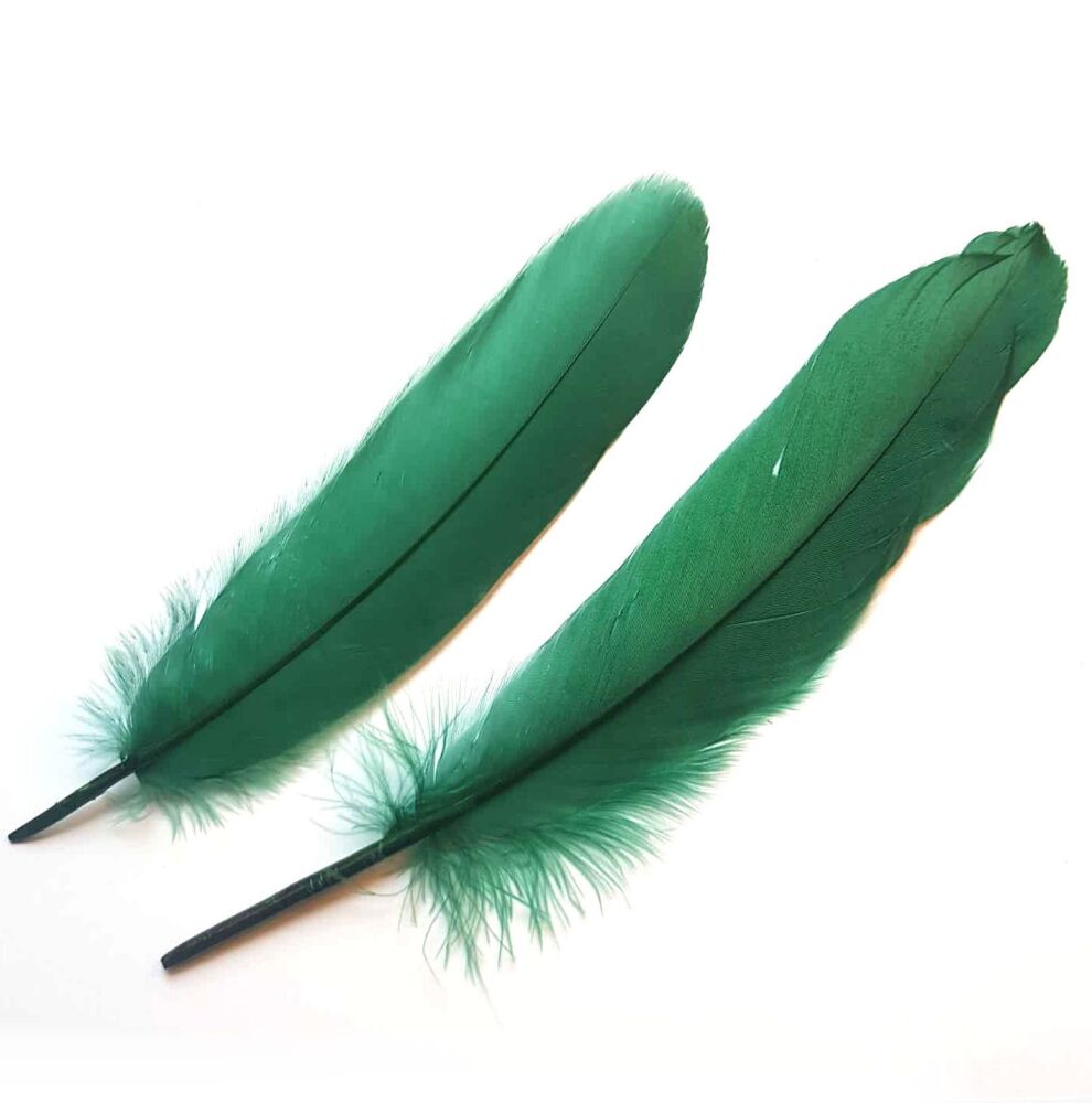 Dark Green Goose Quill Feathers x 4