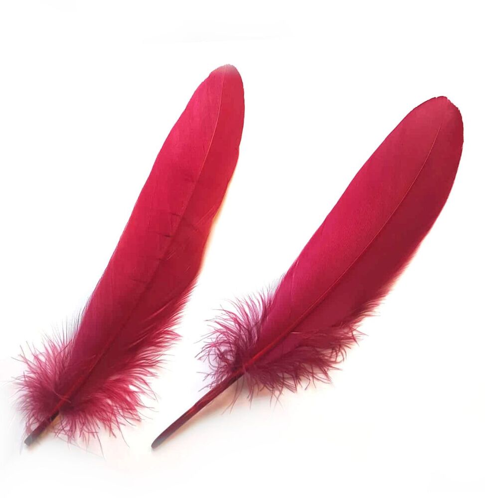 Dark Red Shade Goose Quill Feathers x 4