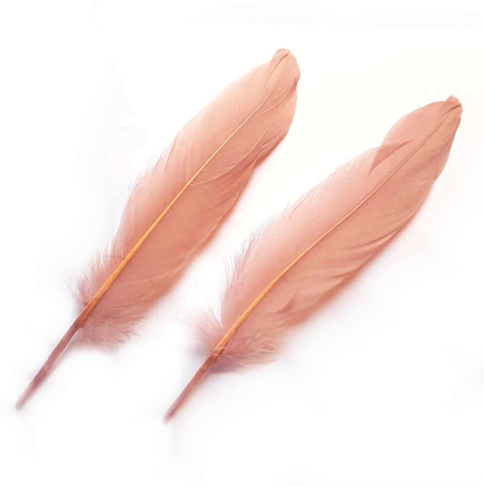 Dusky Pink Goose Quill Feathers x 4