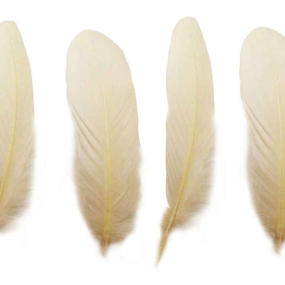 Cream Goose Quill Feathers x 4