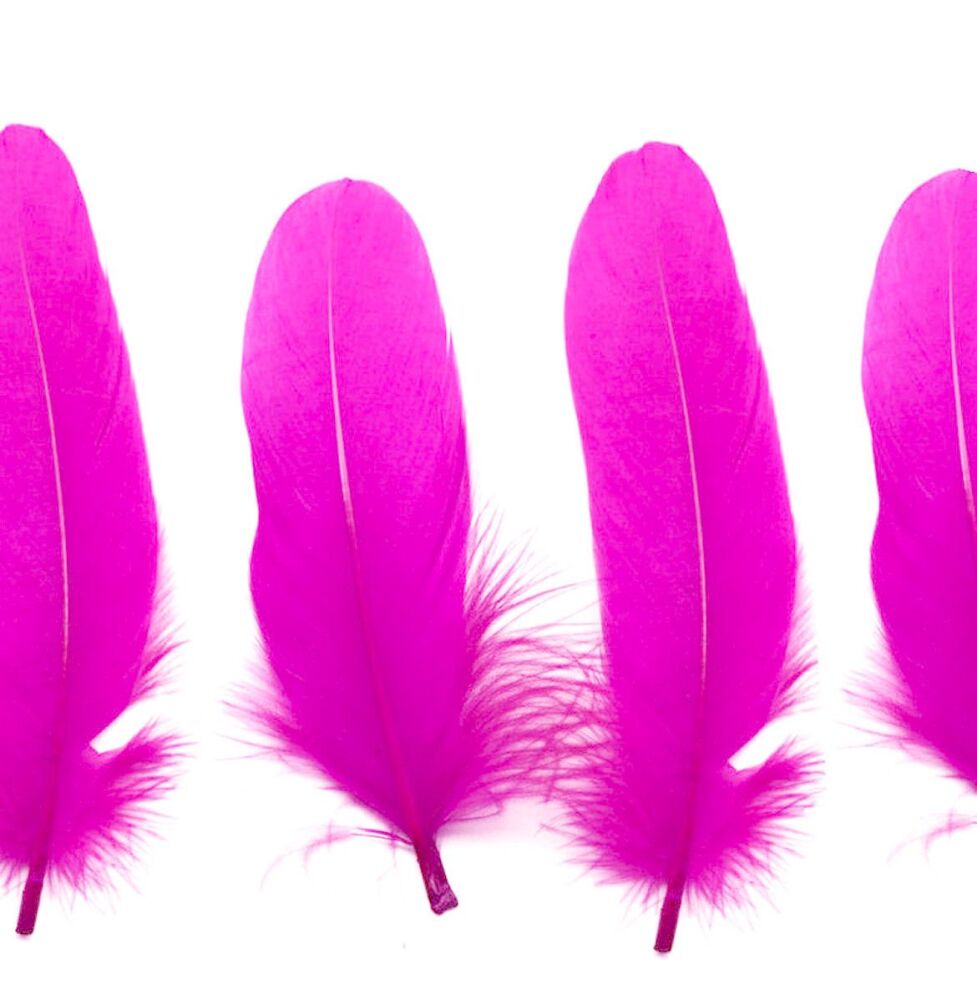 Shocking Pink Goose Quill Feathers x 4