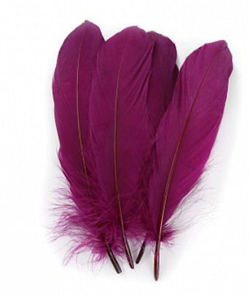 Plum Purple Parried Goose Pallette Feathers x 5