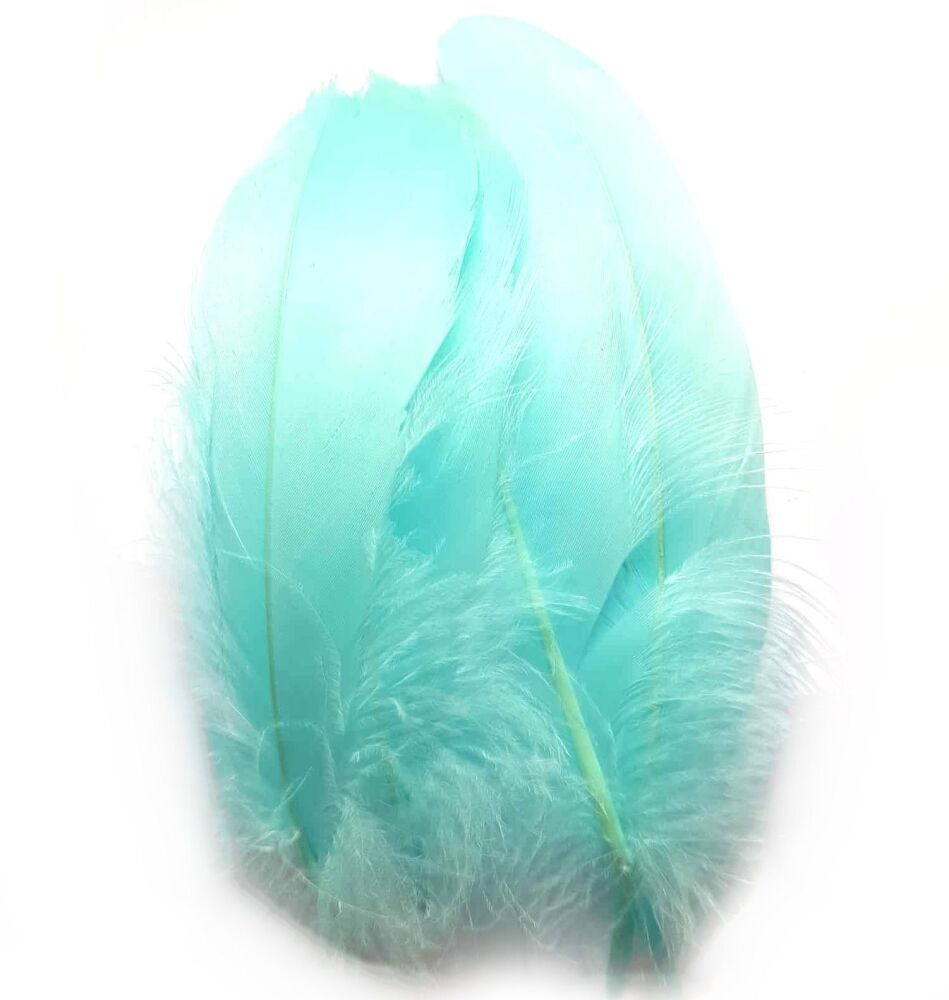 Light Turquoise Parried Goose Pallette Feathers x 5