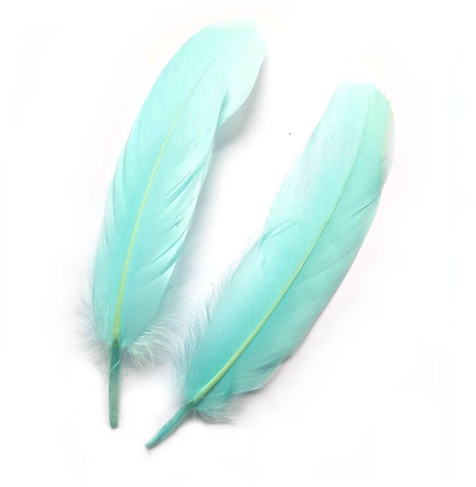 Light Turquoise Blue Goose Quill Feathers x 4