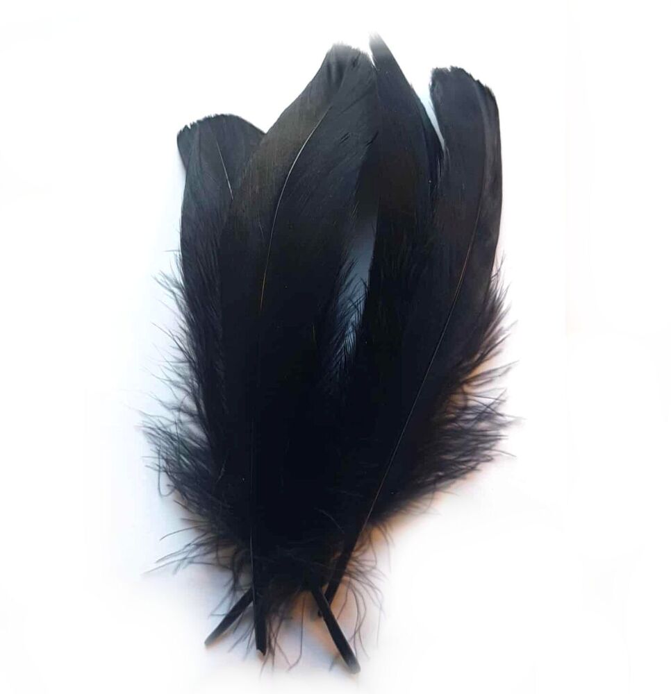 Black Parried Goose Pallette Feathers x 5