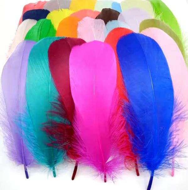 Goose Quill Parried Feathers