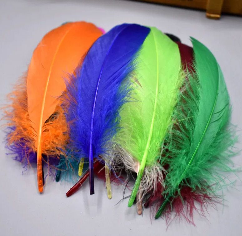 Goose Quill Parried Feathers