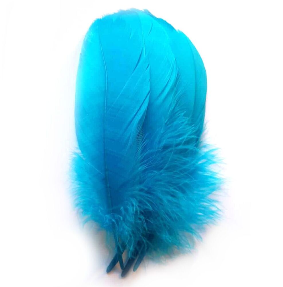 Aqua Blue Parried Goose Pallette Feathers x 5
