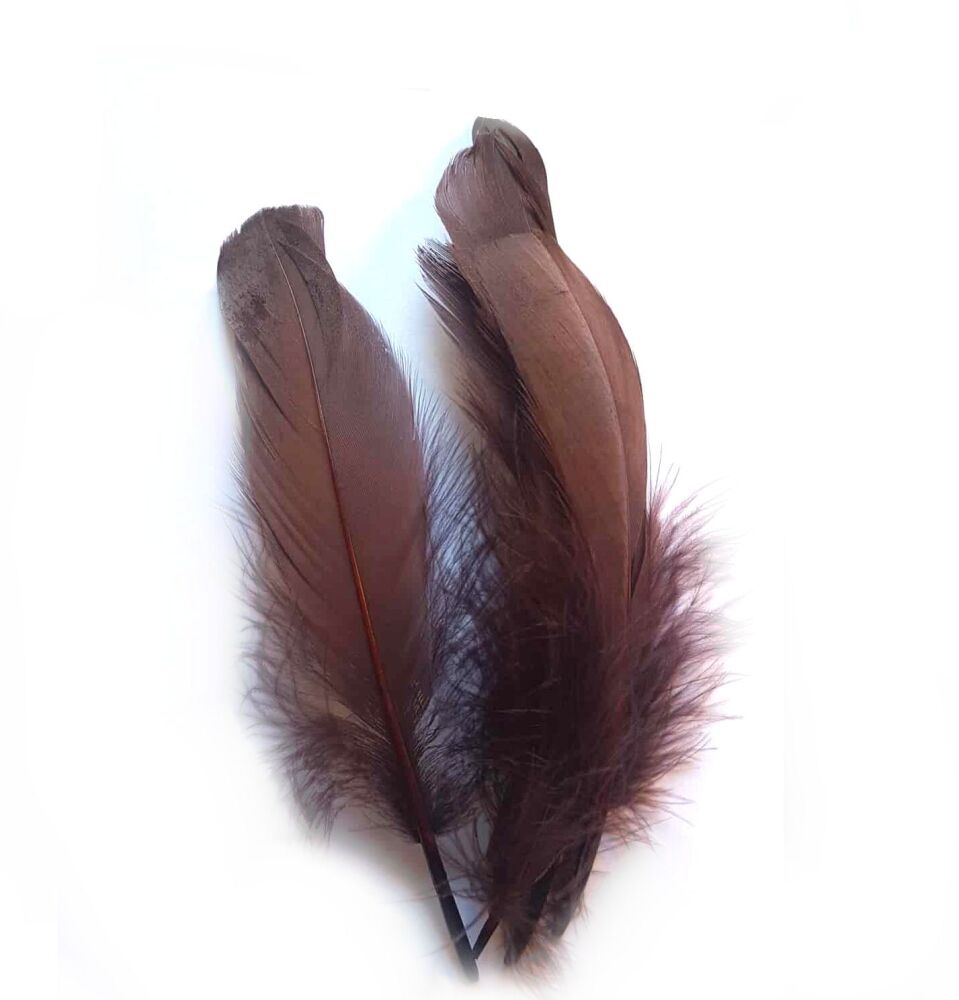 Dark Brown Parried Goose Pallette Feathers x 5