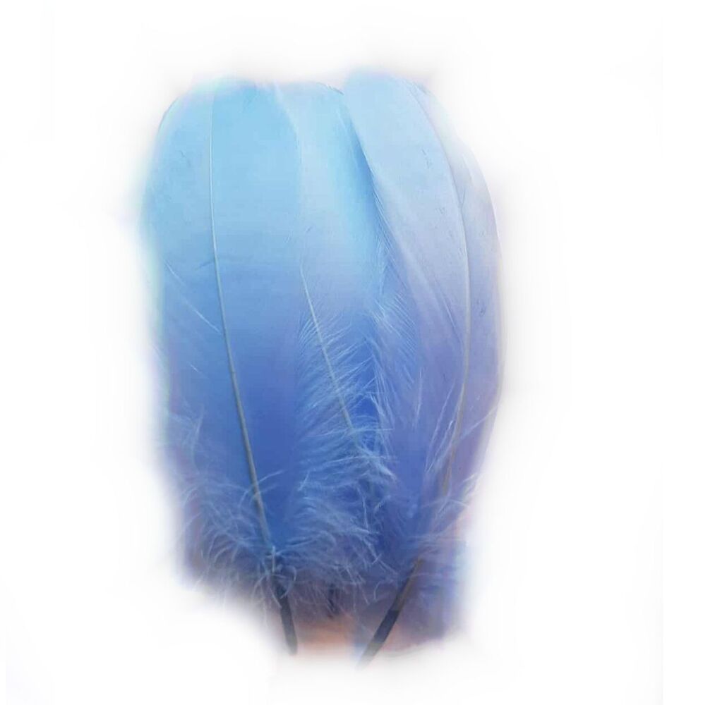 Baby Blue Parried Goose Pallette Feathers x 5