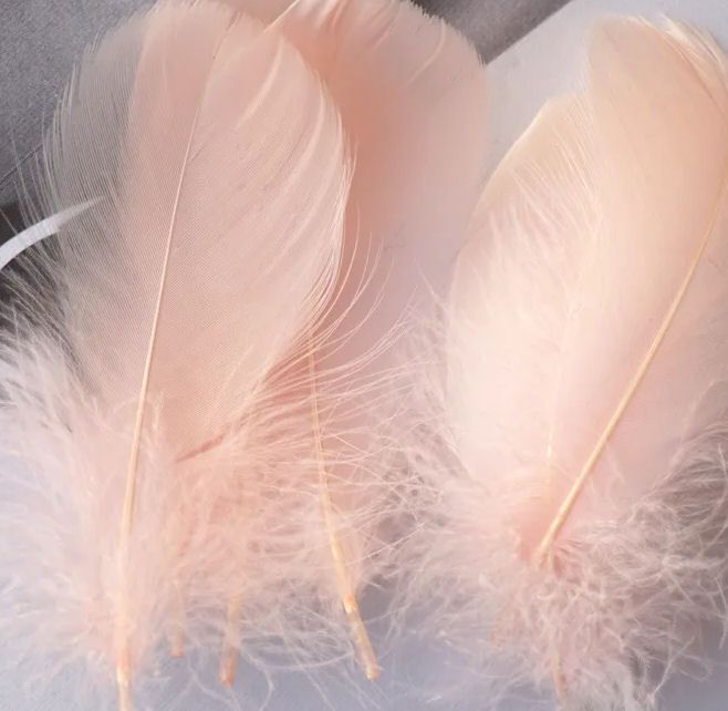 Pale Peach Goose Coquille Feathers x 25