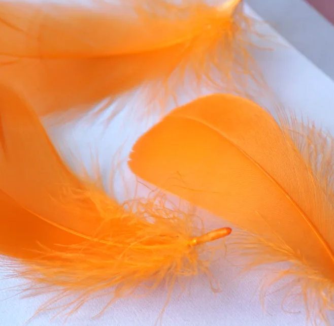 Orange Goose Coquille Feathers x 25