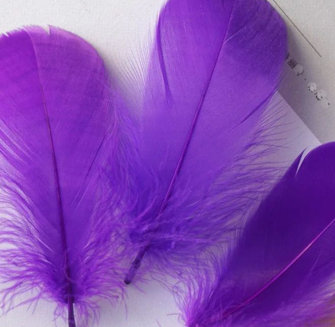 Purple Goose Coquille Feathers x 25