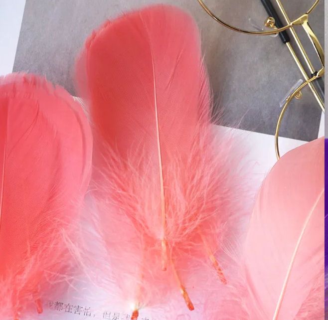 Coral Goose Coquille Feathers x 25