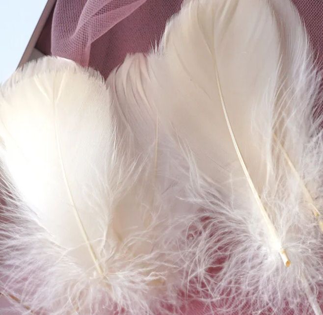 Ivory Goose Coquille Feathers x 25