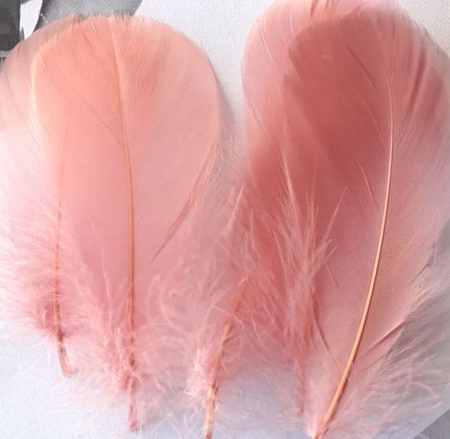 Dusky Rose Pink Goose Coquille Feathers x 25