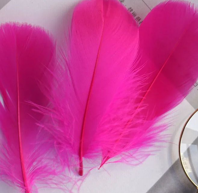 Dark Pink Goose Coquille Feathers x 25