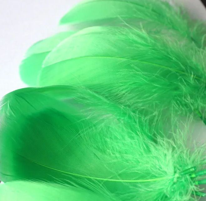 Green Goose Coquille Feathers x 25