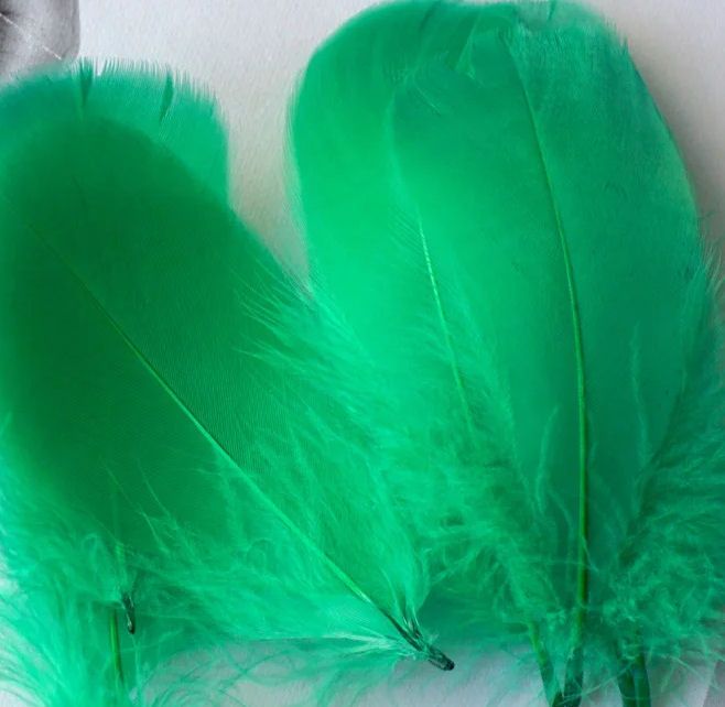 Kelly Green Goose Coquille Feathers x 25