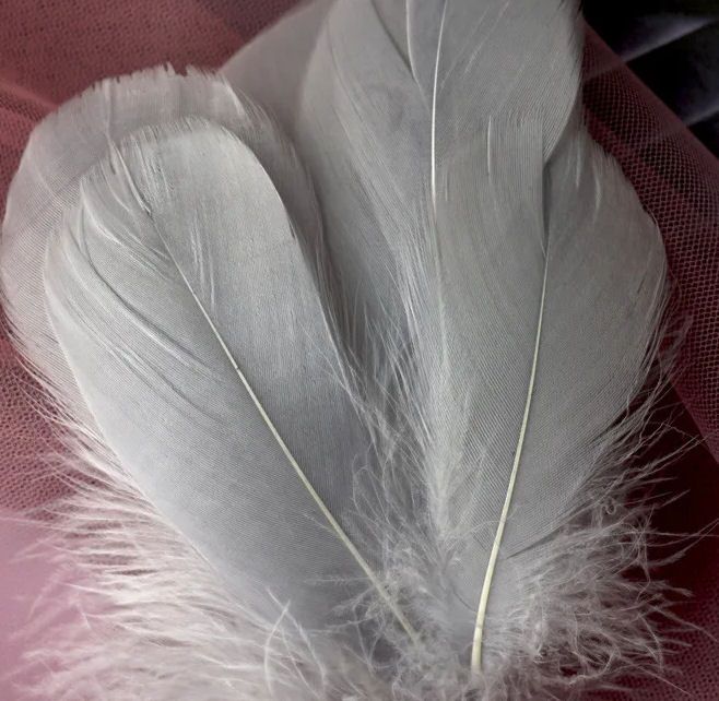 Silver Goose Coquille Feathers x 25