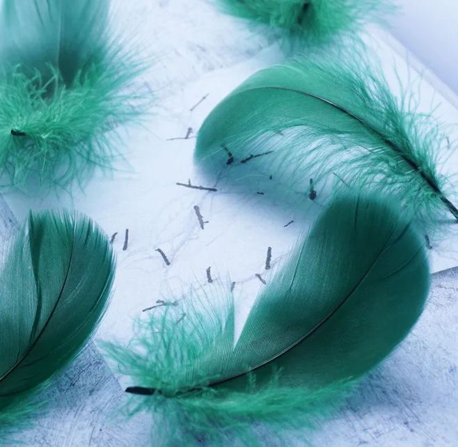 Dark Green Goose Coquille Feathers x 25