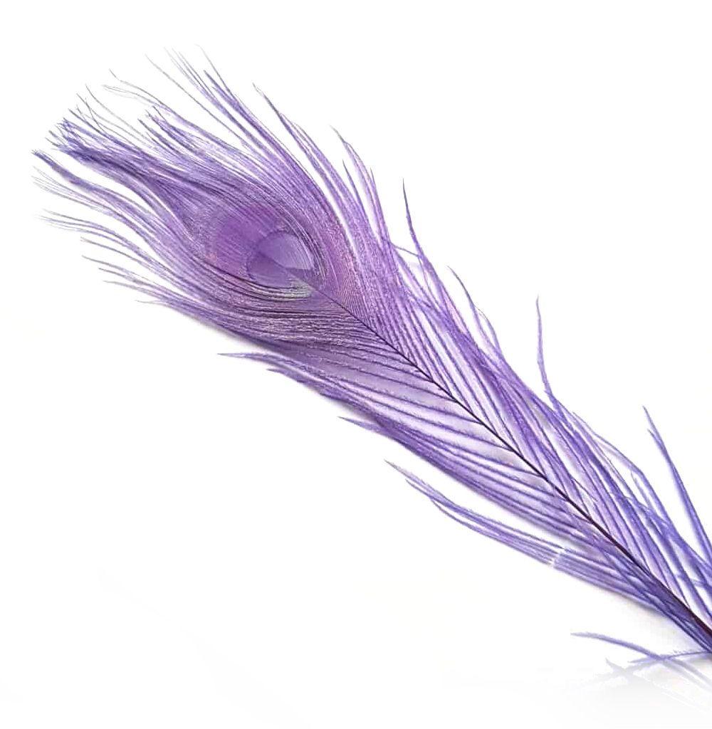Lavender Lilac Peacock Eye Tail Feather