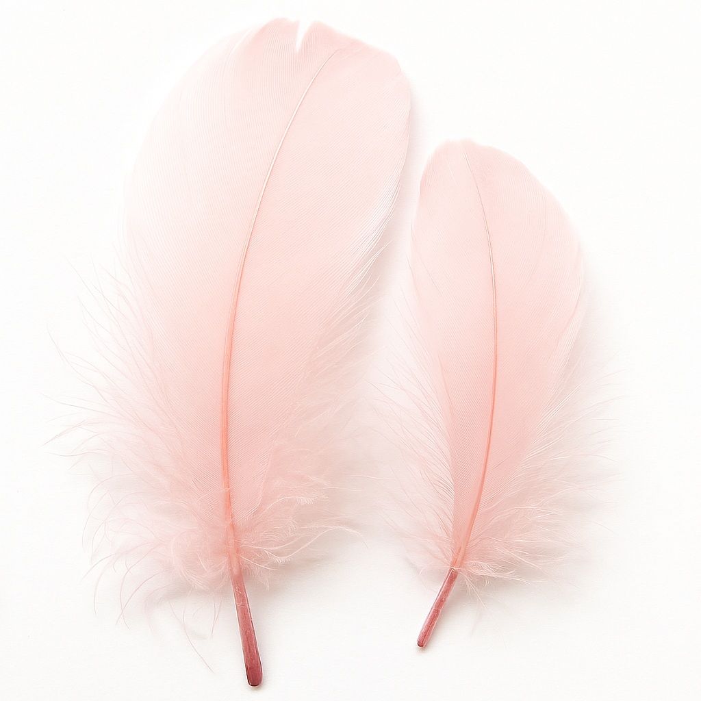 Pale Pink Goose Coquille Feathers x 25