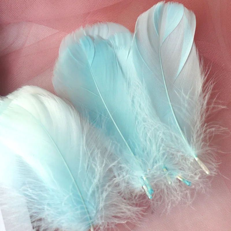 Light Turquoise Blue Goose Coquille Feathers x 25
