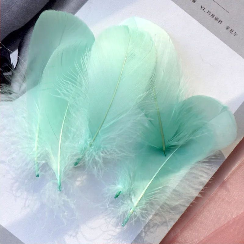 Mint Green Goose Coquille Feathers x 25