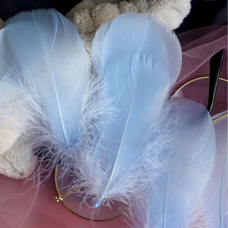 Light Blue Goose Coquille Feathers x 25