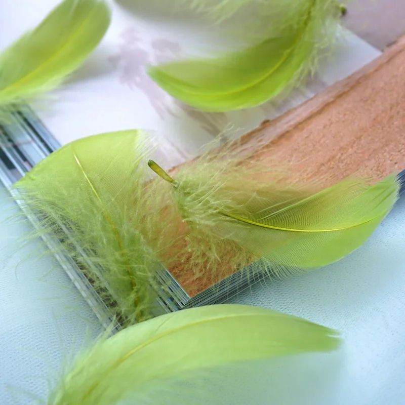 Olive Moss Green Goose Coquille Feathers x 25