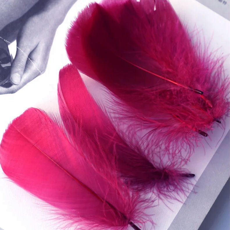 Red Wine Goose Coquille Feathers x 25