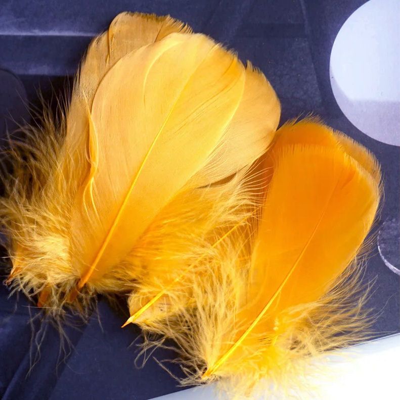 Golden Yellow Goose Coquille Feathers x 25