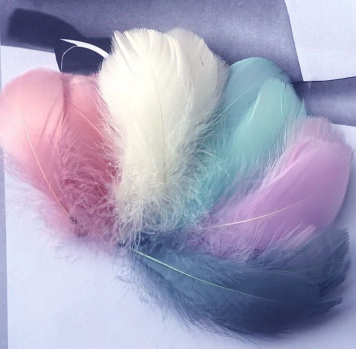 Pastel Haze Goose Coquille Feathers x 25